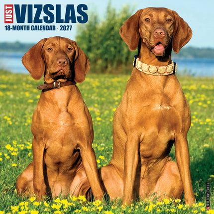 Willow Creek Vizsla Kalender 2027