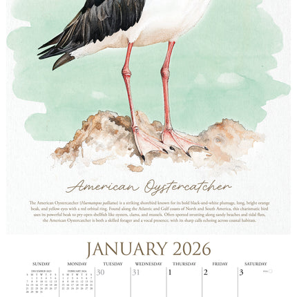 Willow Creek Vogelkunst Kalender 2026