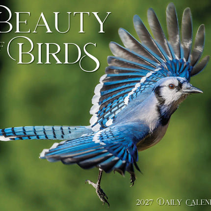 Willow Creek Vogels Scheurkalender 2027 Boxed