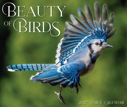 Willow Creek Vogels Scheurkalender 2027 Boxed
