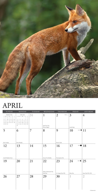 Willow Creek Vossen Kalender 2026