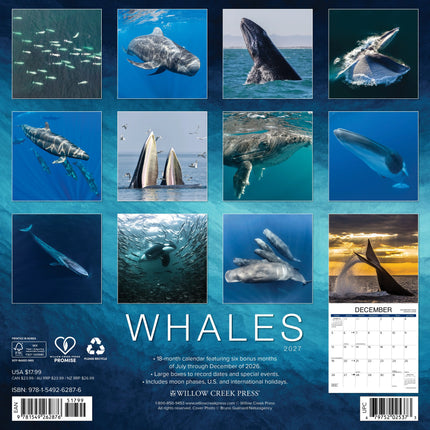 Willow Creek Walvissen Kalender 2027