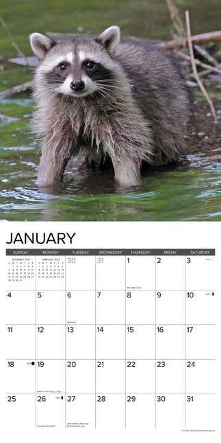 Willow Creek Wasbeer Kalender 2026