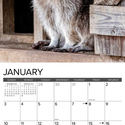 Willow Creek Wasbeer Kalender 2027
