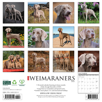 Willow Creek Weimaraner Kalender 2026