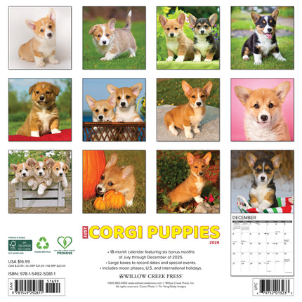 Willow Creek Welsh Corgi Puppies Kalender 2026