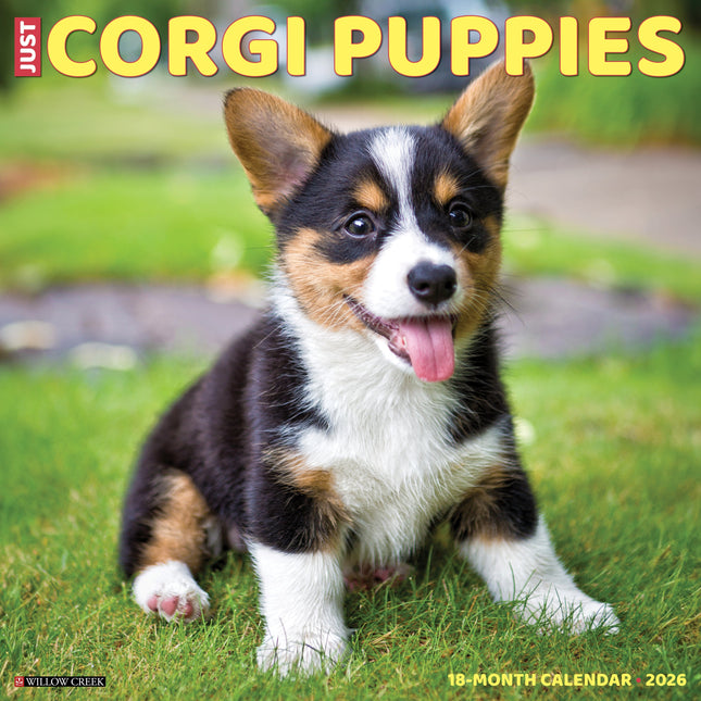 Willow Creek Welsh Corgi Puppies Kalender 2026