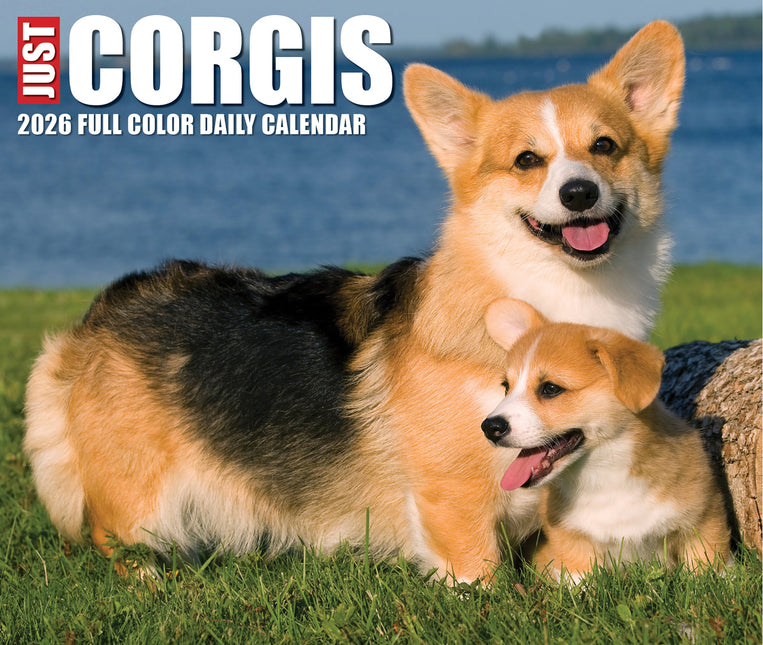 Willow Creek Welsh Corgi Scheurkalender 2026 Boxed