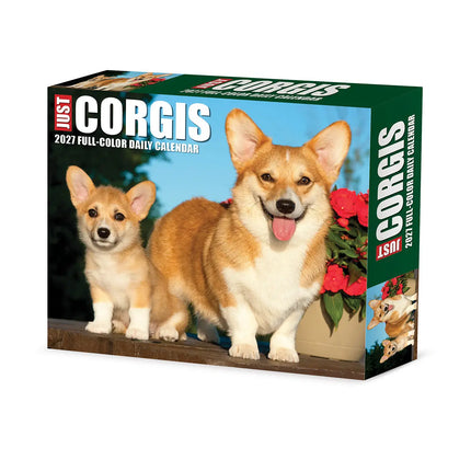 Willow Creek Welsh Corgi Scheurkalender 2027 Boxed