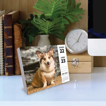 Willow Creek Welsh Corgi Scheurkalender 2027 Boxed