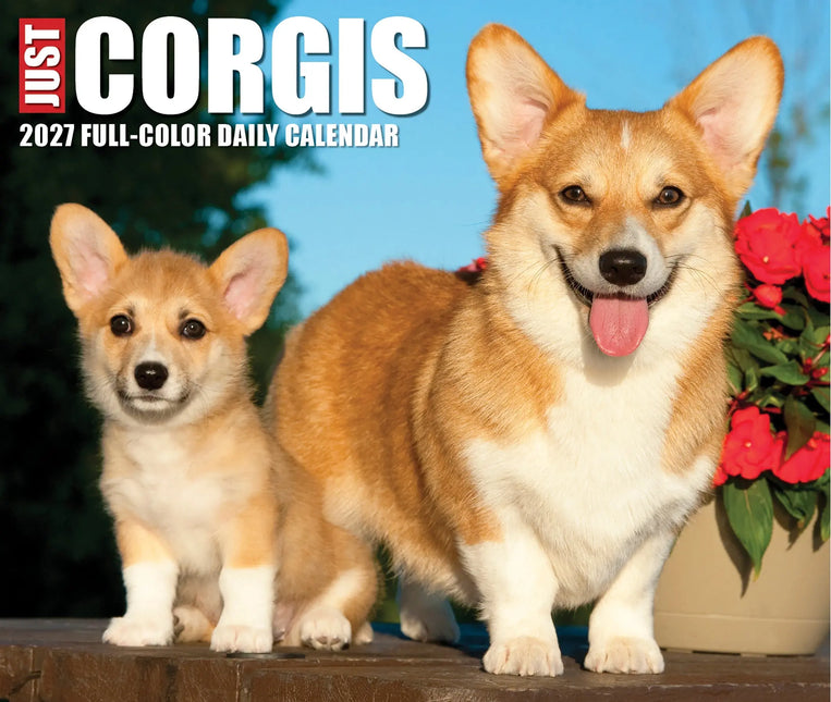 Willow Creek Welsh Corgi Scheurkalender 2027 Boxed