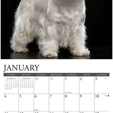 Willow Creek West Highland White Terrier Kalender 2026