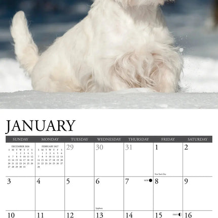Willow Creek West Highland White Terrier Kalender 2027