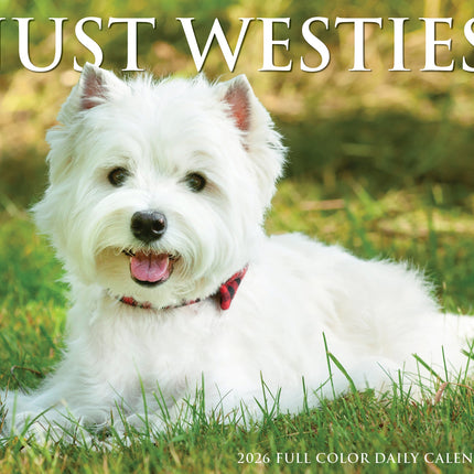 Willow Creek West Highland White Terrier Scheurkalender 2026 Boxed