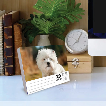 Willow Creek West Highland White Terrier Scheurkalender 2027 Boxed