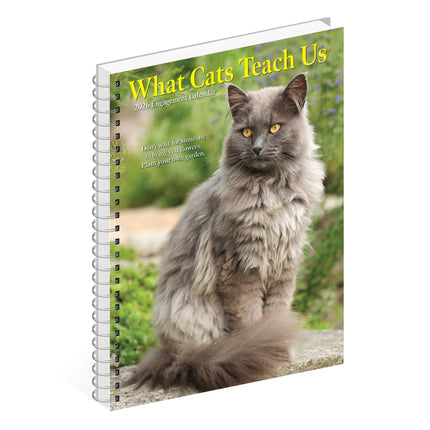 Willow Creek What Cats Teach Us Agenda 2026