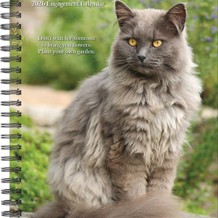 Willow Creek What Cats Teach Us Agenda 2026