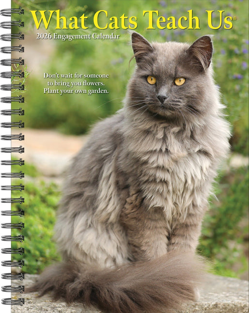 Willow Creek What Cats Teach Us Agenda 2026
