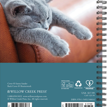 Willow Creek What Cats Teach Us Agenda 2026