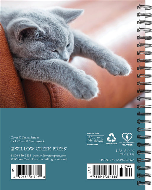 Willow Creek What Cats Teach Us Agenda 2026