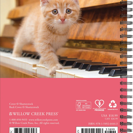Willow Creek What Cats Teach Us Agenda 2027