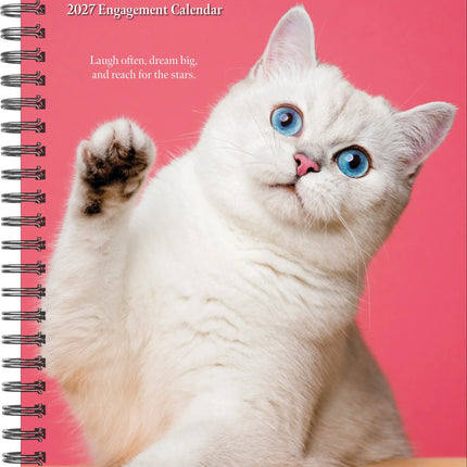 Willow Creek What Cats Teach Us Agenda 2027