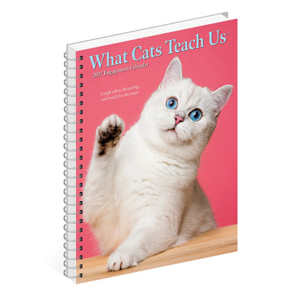 Willow Creek What Cats Teach Us Agenda 2027