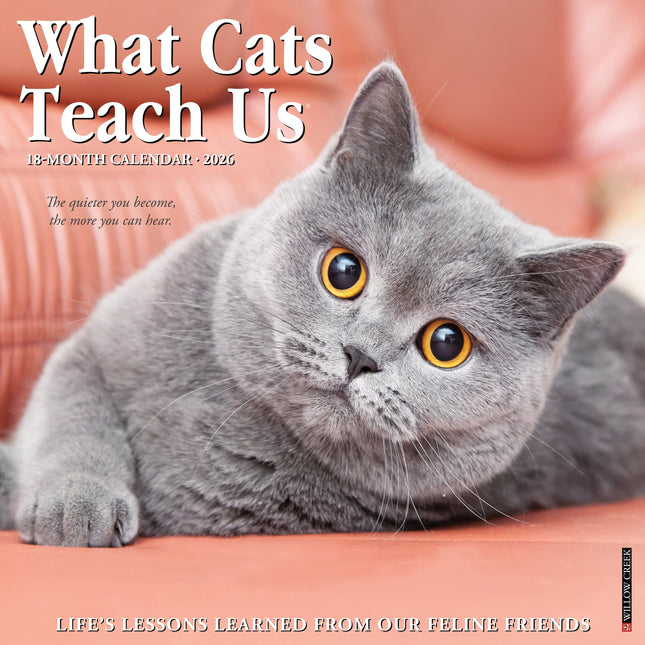 Willow Creek What Cats Teach Us Kalender 2026