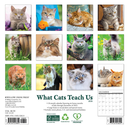Willow Creek What Cats Teach Us Kalender 2026 Mini