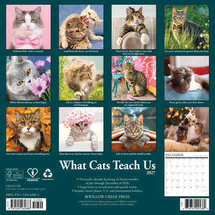 Willow Creek What Cats Teach Us Kalender 2027