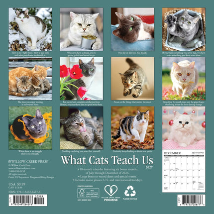 Willow Creek What Cats Teach Us Kalender 2027 Mini
