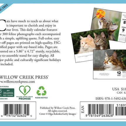 Willow Creek What Cats Teach Us Scheurkalender 2027 Boxed