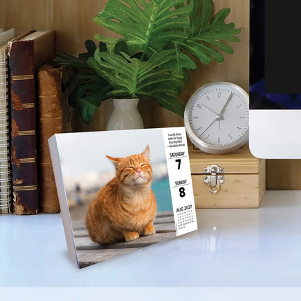 Willow Creek What Cats Teach Us Scheurkalender 2027 Boxed
