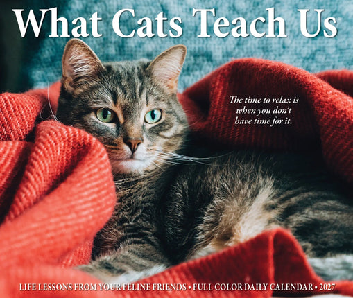 Willow Creek What Cats Teach Us Scheurkalender 2027 Boxed