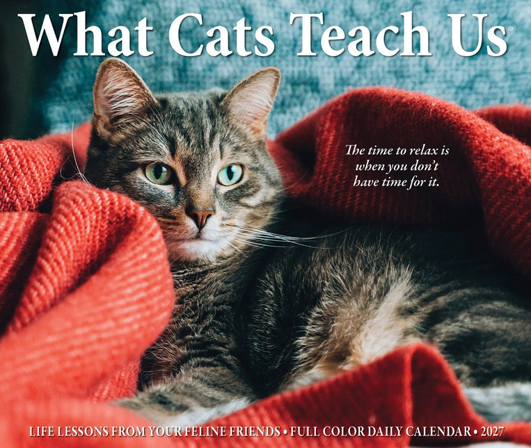 Willow Creek What Cats Teach Us Scheurkalender 2027 Boxed