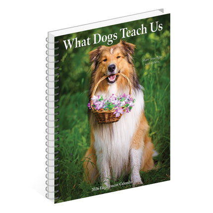 Willow Creek What Dogs Teach Us Agenda 2026