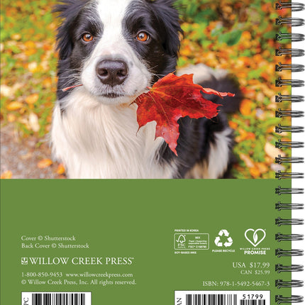 Willow Creek What Dogs Teach Us Agenda 2026