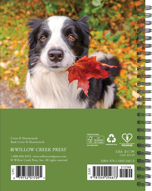 Willow Creek What Dogs Teach Us Agenda 2026