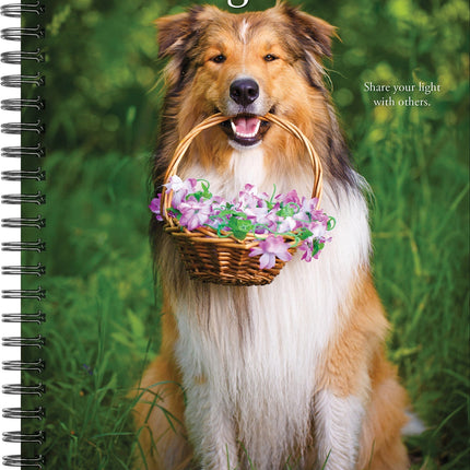 Willow Creek What Dogs Teach Us Agenda 2026