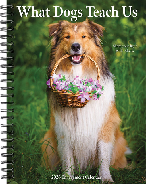 Willow Creek What Dogs Teach Us Agenda 2026