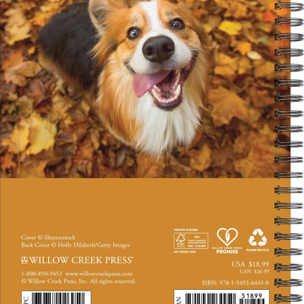 Willow Creek What Dogs Teach Us Agenda 2027