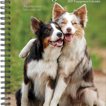 Willow Creek What Dogs Teach Us Agenda 2027