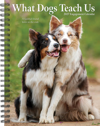 Willow Creek What Dogs Teach Us Agenda 2027