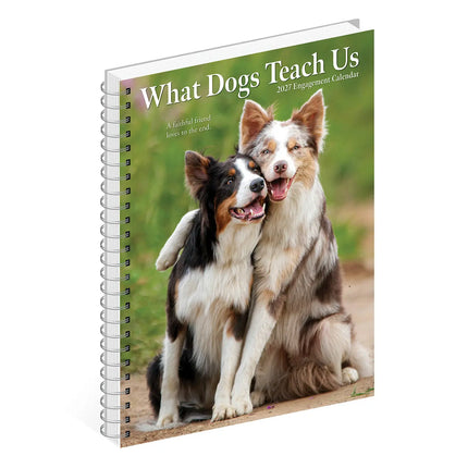 Willow Creek What Dogs Teach Us Agenda 2027