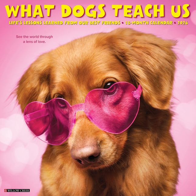 Willow Creek What Dogs Teach Us Kalender 2026