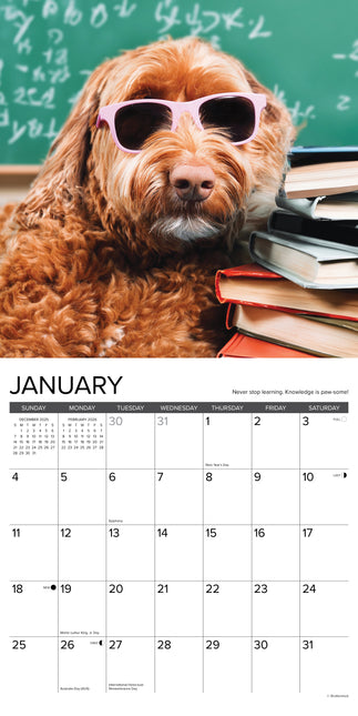 Willow Creek What Dogs Teach Us Kalender 2026
