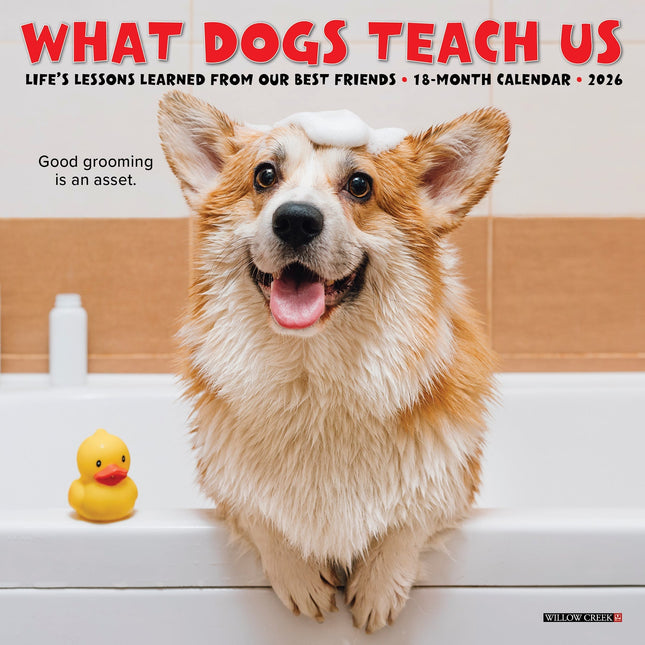 Willow Creek What Dogs Teach Us Kalender 2026 Mini