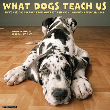 Willow Creek What Dogs Teach Us Kalender 2027