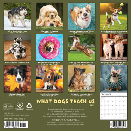 Willow Creek What Dogs Teach Us Kalender 2027