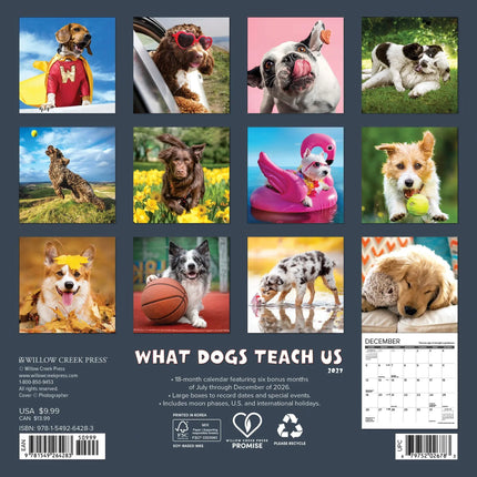 Willow Creek What Dogs Teach Us Kalender 2027 Mini